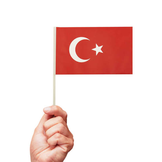 ÇITALI BAYRAK KÜÇÜK *80